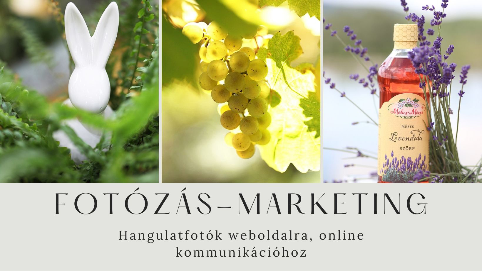 fotó-marketing weboldalra fotózás marketing