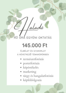 fotós mentor program