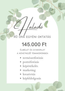fotós mentor program