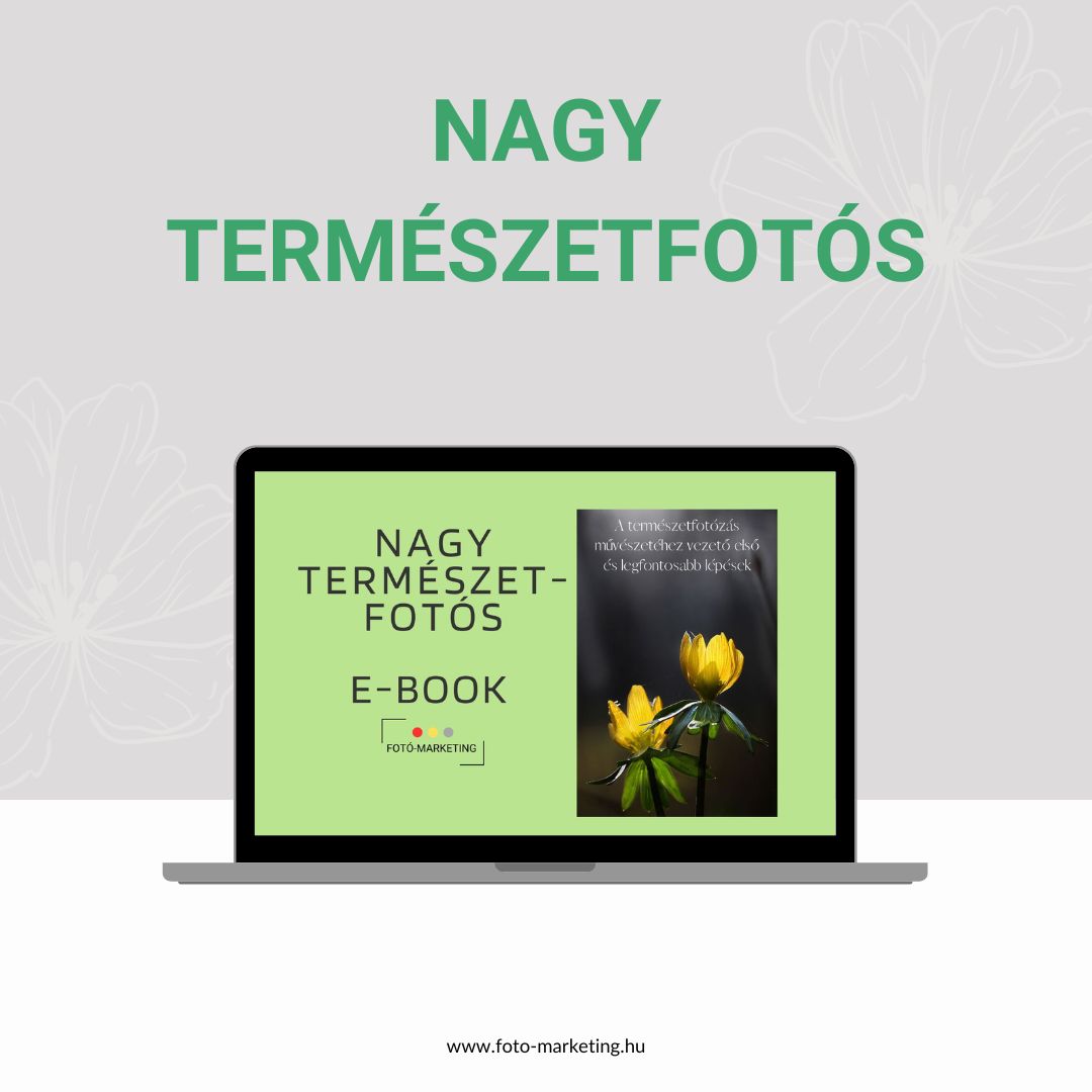 Nagy természetfotós ebook Nagy természetfotós ebook
