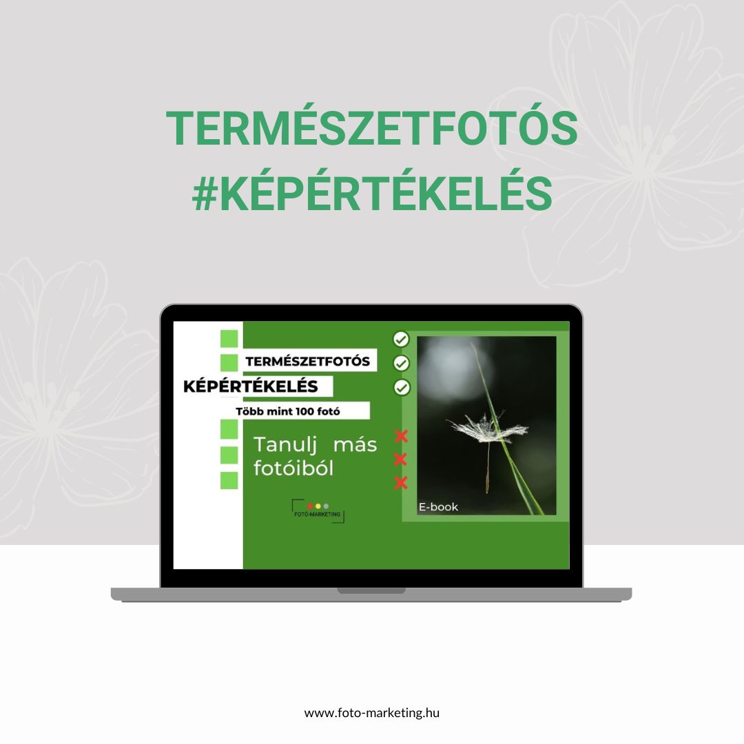képértélelés képértélelés