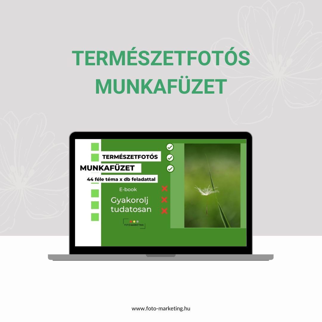 természetfotós munkafüzet természetfotós munkafüzet