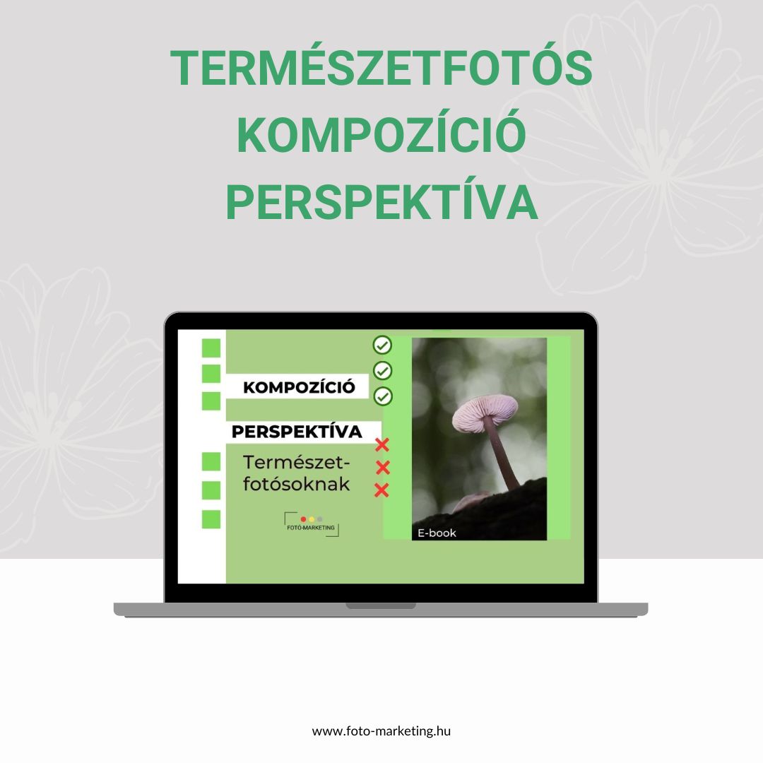 perspektíva kompozíció perspektíva kompozíció