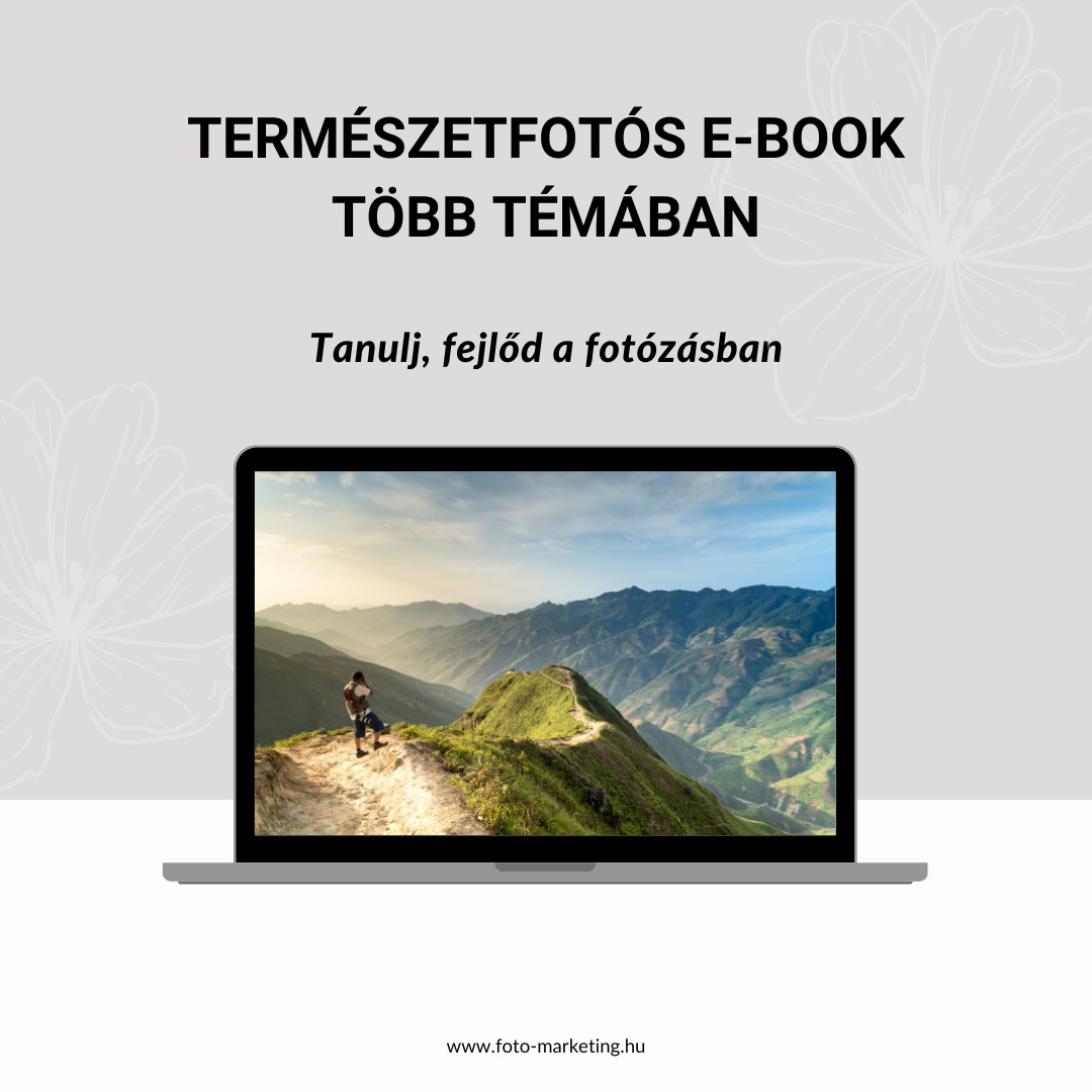 természet 2 természet 2