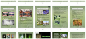természetfotós ebook