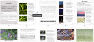 természetfotós ebook