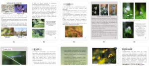 természetfotós ebook