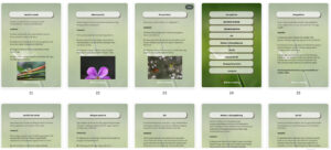 természetfotós ebook