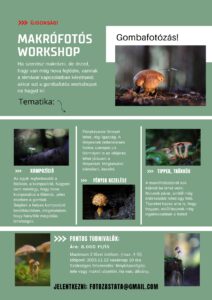 fotós workshop