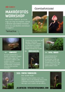 fotós workshop